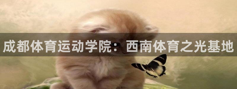 betway西汉姆联官网