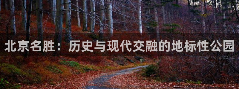 betway西汉姆