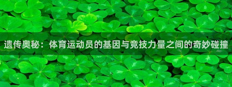 betway西汉姆联