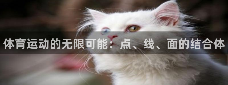 betway西汉姆