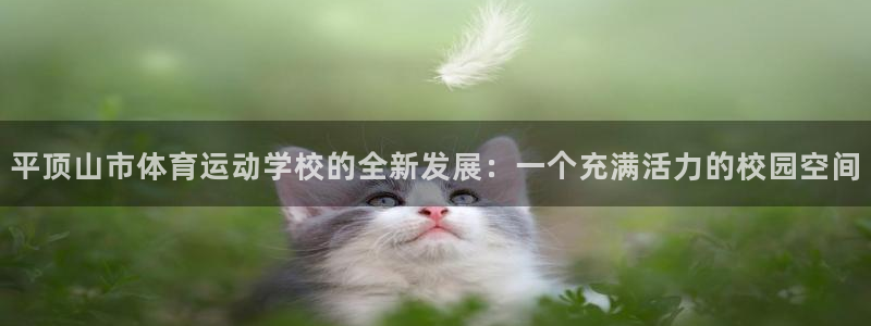 必威betway西汉姆联